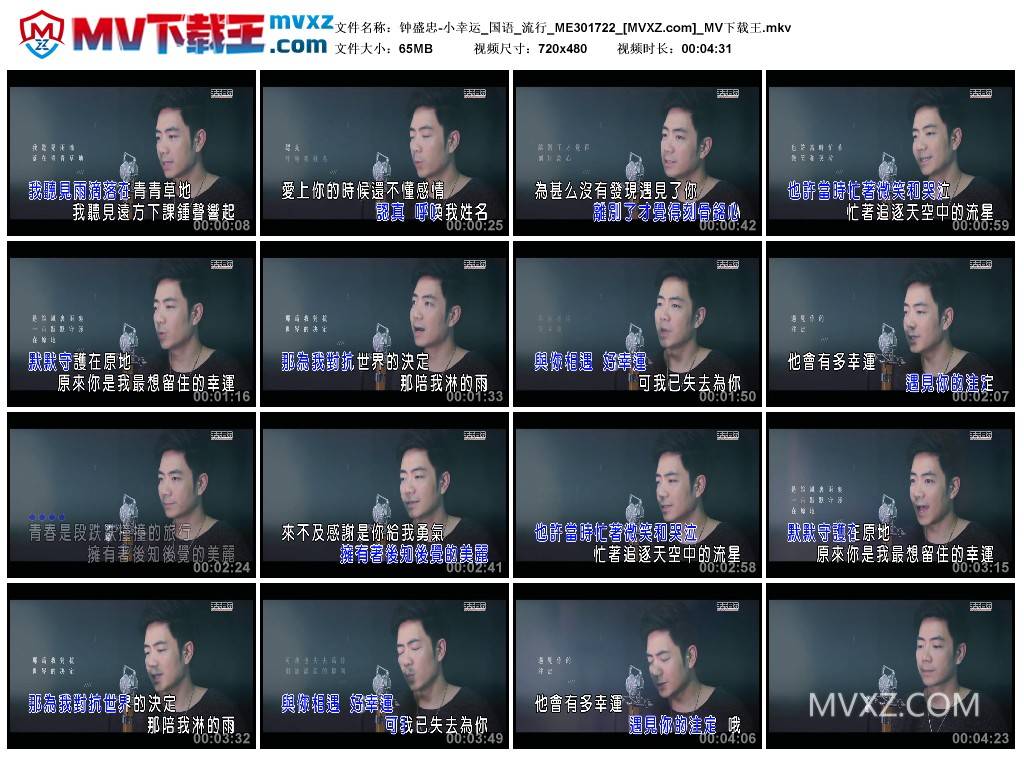 钟盛忠-小幸运_国语_流行_ME301722